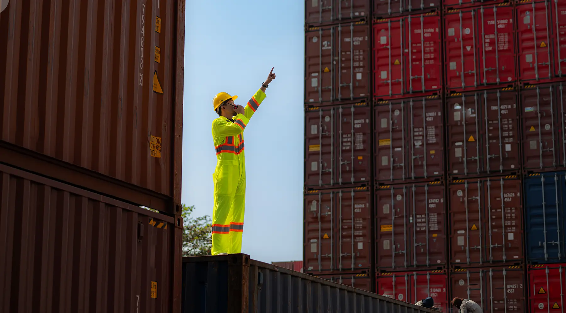 Which Yard Management Software Model Should You Choose?